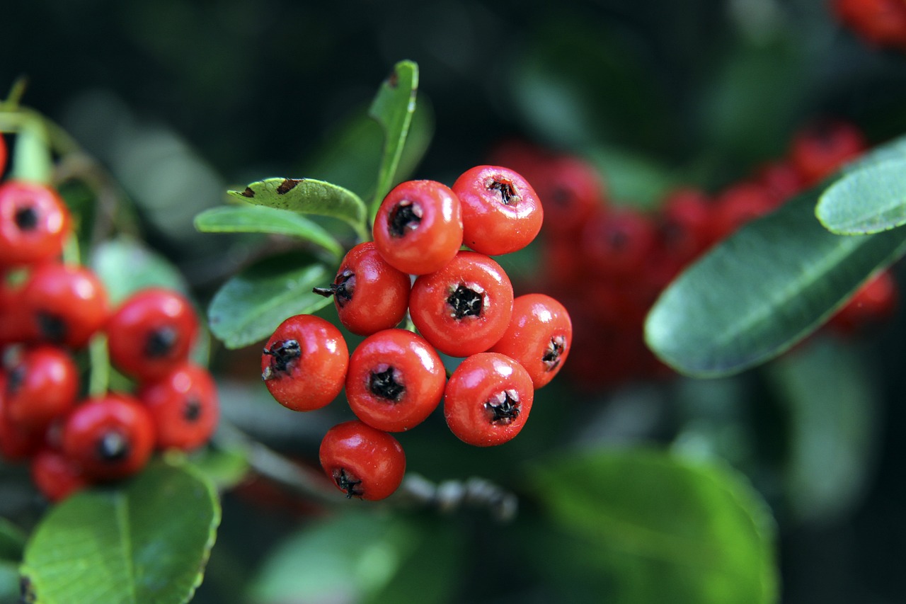 想到另一名 想到另一名