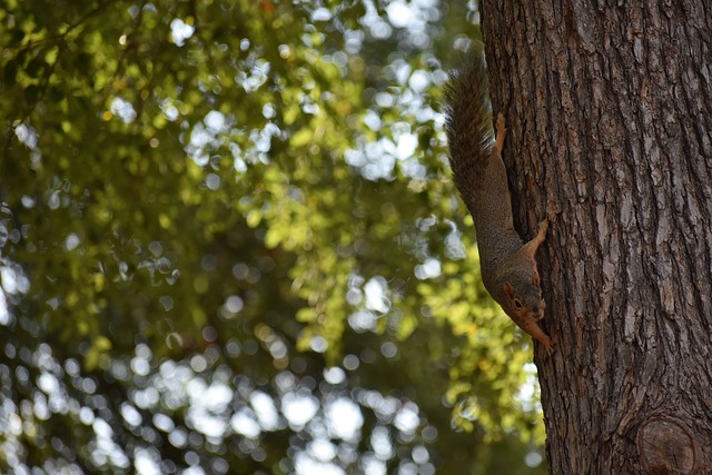这样的顶级 这样的顶级