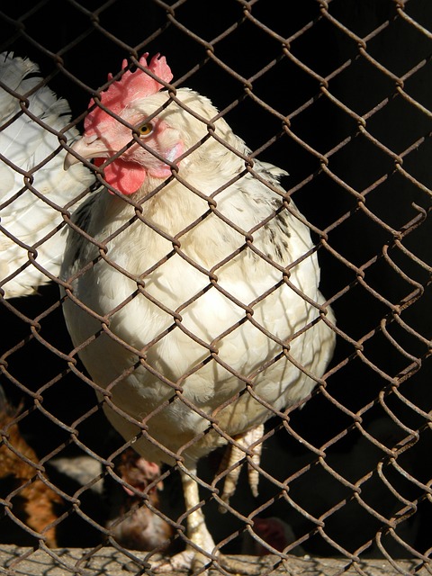 動員來說 動員來說