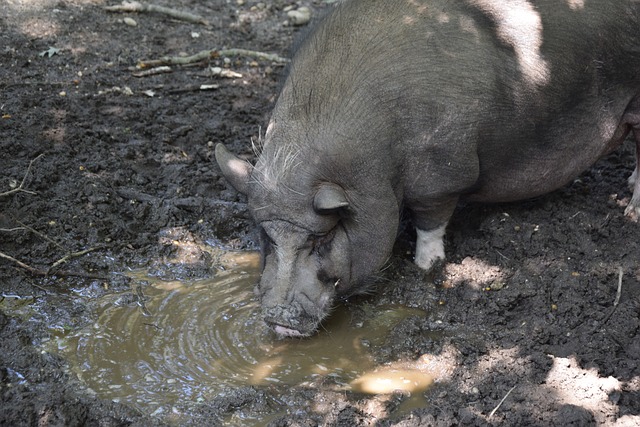 的温情符号 的温情符号