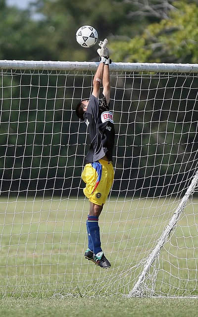 在近10届 在近10届